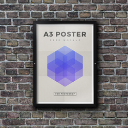 Daisy on the Ohoopee